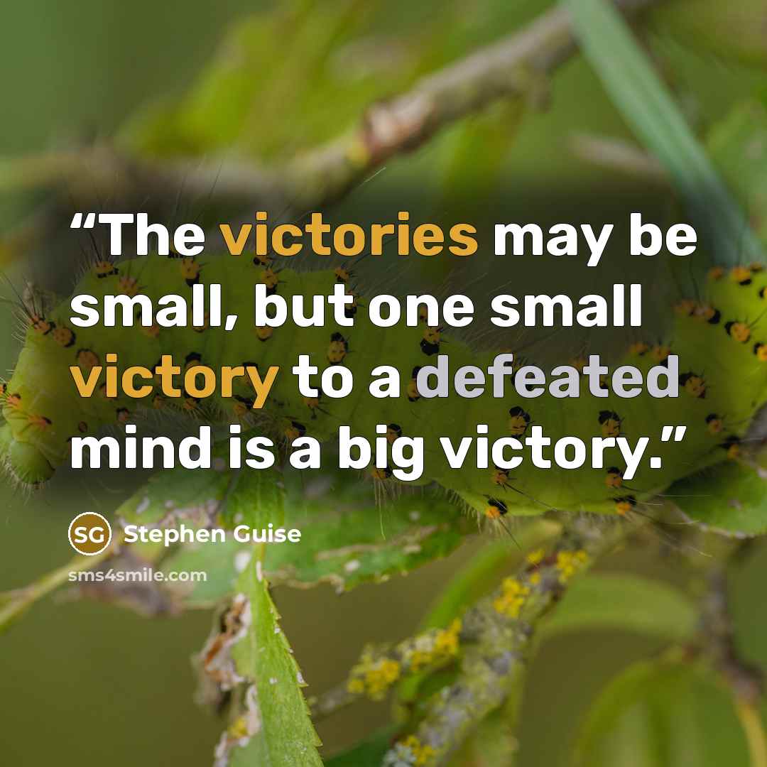 “The victories may be small, but one small victory to a defeated mind is a big victory.” quote by Stephen Guise