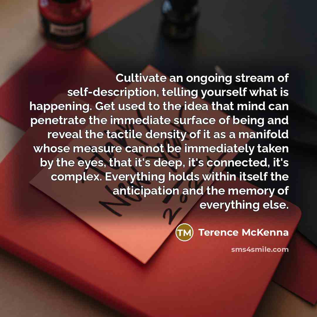 “Cultivate an ongoing stream of self-description, telling yourself what is…” quote by Terence McKenna
