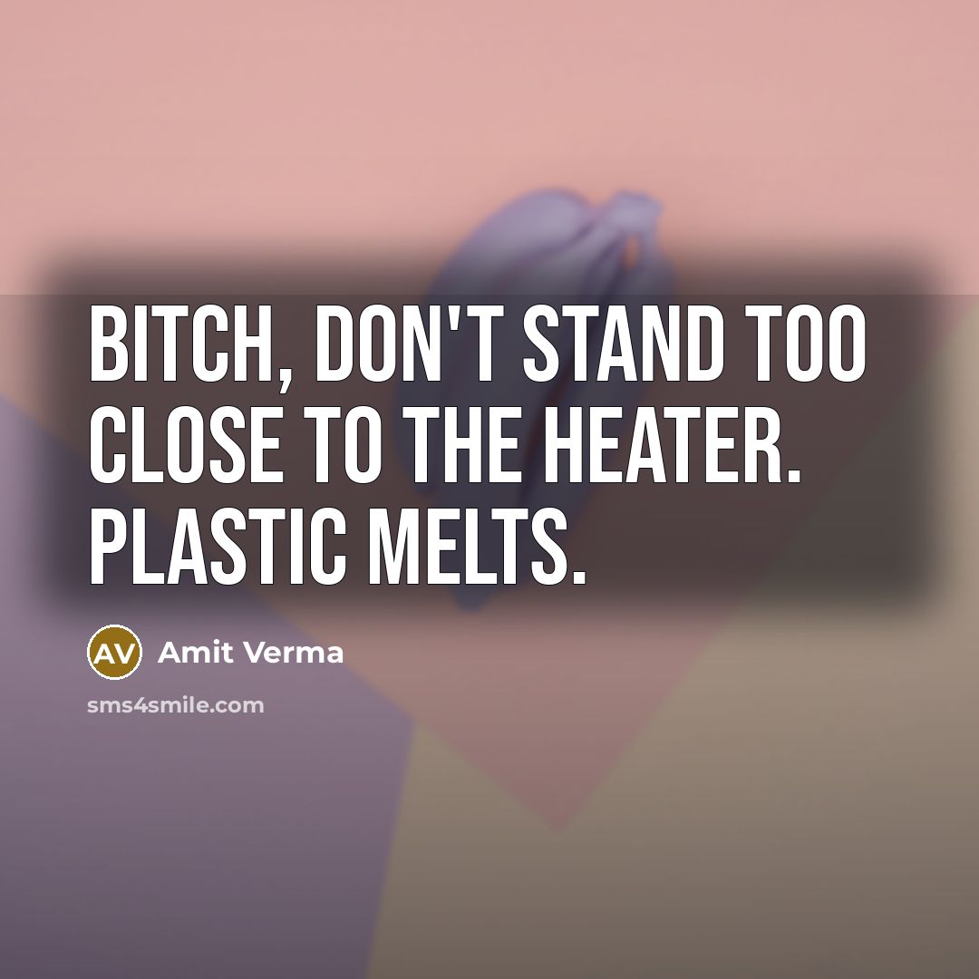 “Bitch, don't stand too close to the heater. Plastic melts.…” quote by Amit Verma