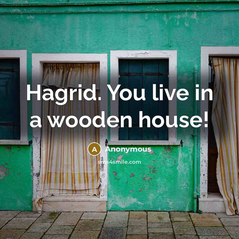 “Hagrid. You live in a wooden house!…” quote by Anonymous