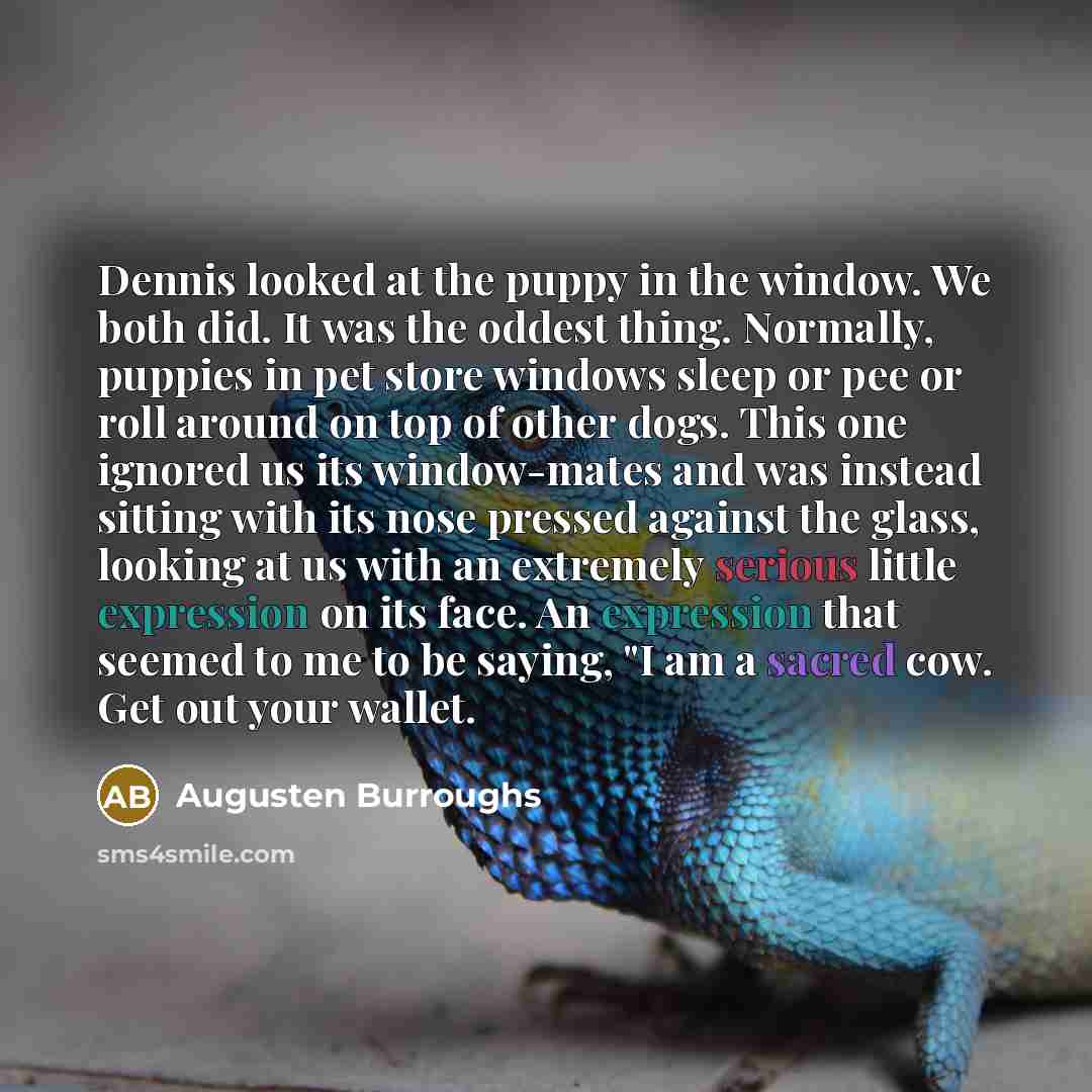 “Dennis looked at the puppy in the window. We both did. It was the oddest thing. Normally, puppies in pet store windows sleep or pee or roll around on top of other dogs. This one ignored us its window-mates and was instead sitting with its nose pressed against the glass, looking at us with an…” quote by Augusten Burroughs