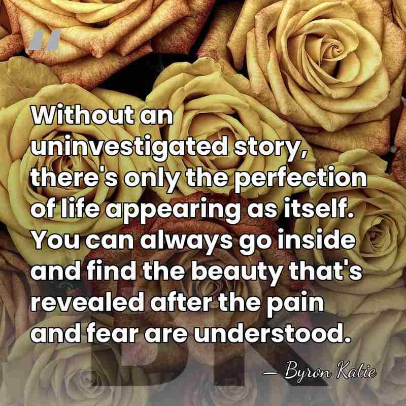 Without an uninvestigated story, there's only the perfection of life appearing as&hellip; - Byron Katie