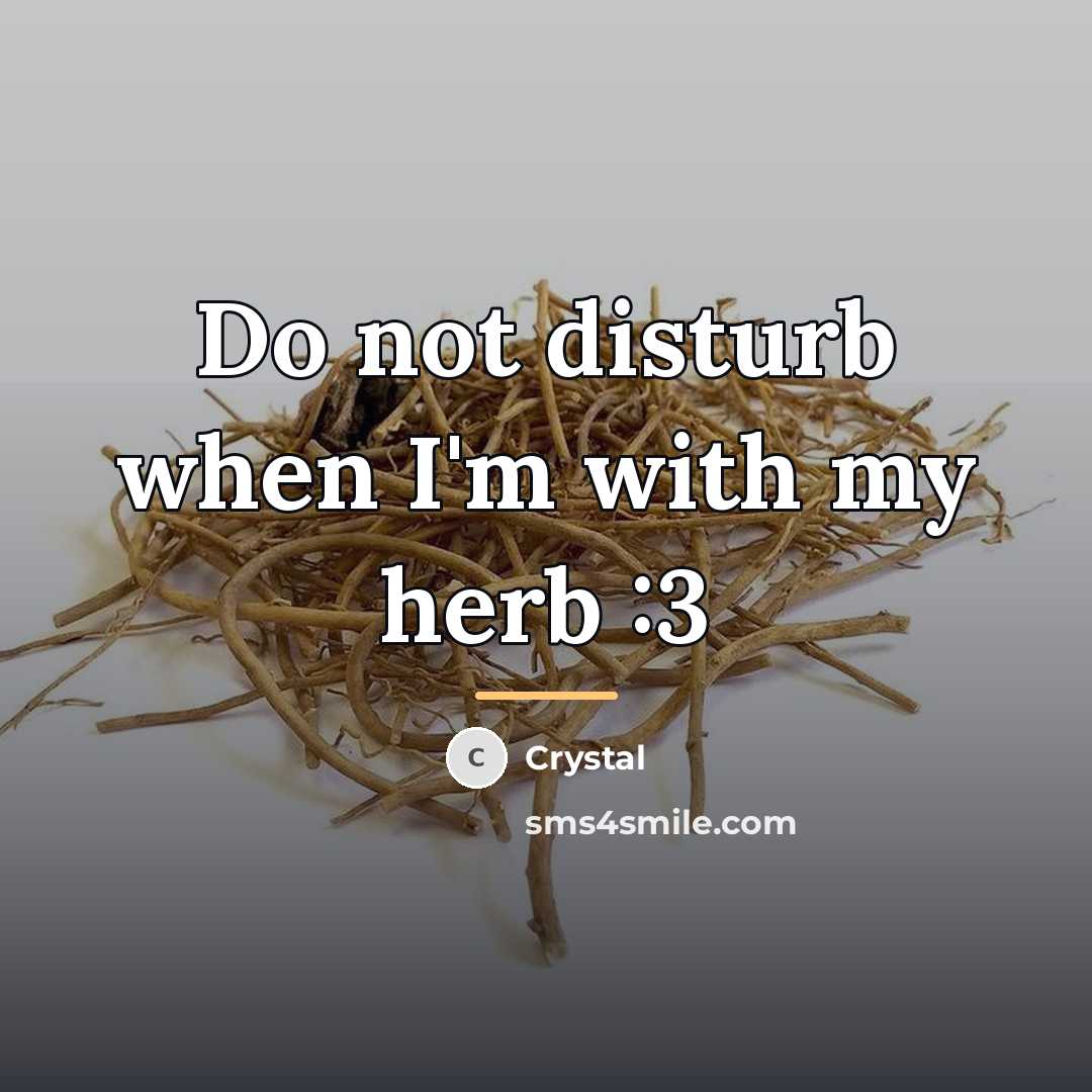 “Do not disturb when I'm with my herb :3…” quote by Crystal