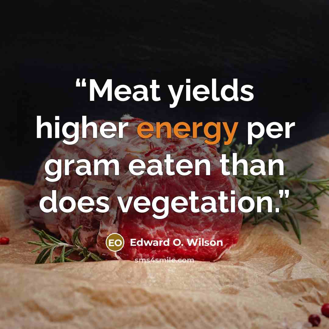 “Meat yields higher energy per gram eaten than does vegetation.” quote by Edward O. Wilson