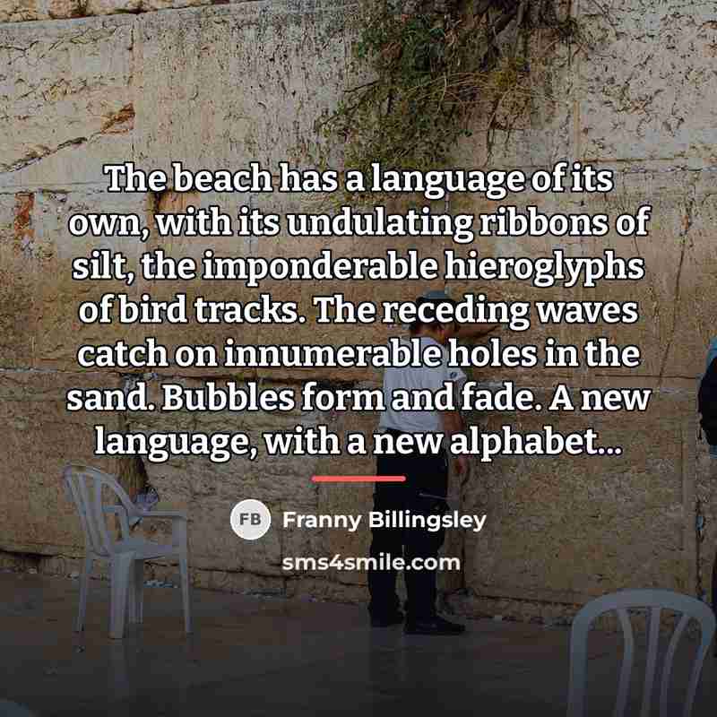 “The beach has a language of its own, with its…” quote by Franny Billingsley