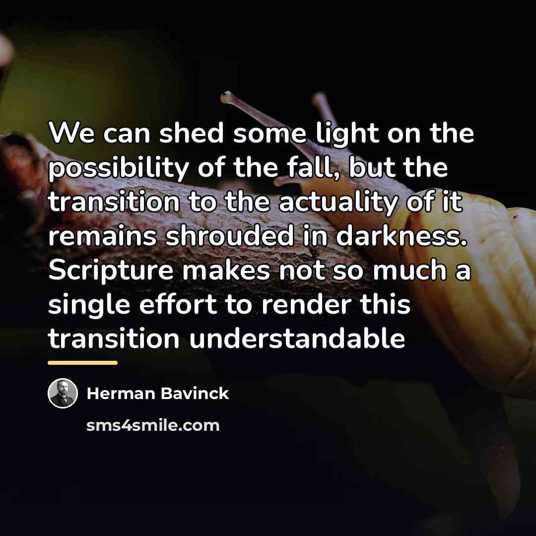 “We can shed some light on the possibility of the…” quote by Herman Bavinck