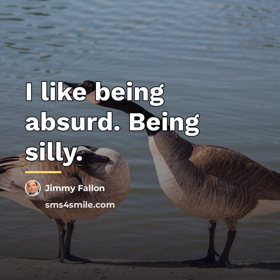 “I like being absurd. Being silly.…” quote by Jimmy Fallon