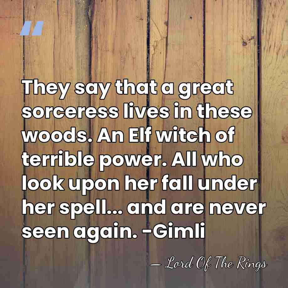 They say that a great sorceress lives in these woods. An Elf&hellip; - Lord Of The Rings