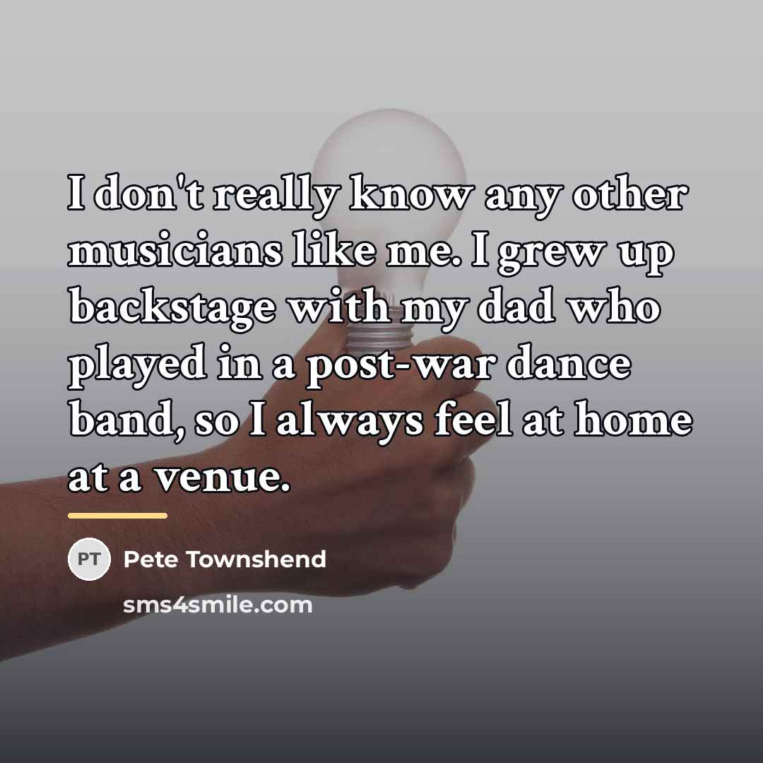 “I don't really know any other musicians like me. I…” quote by Pete Townshend