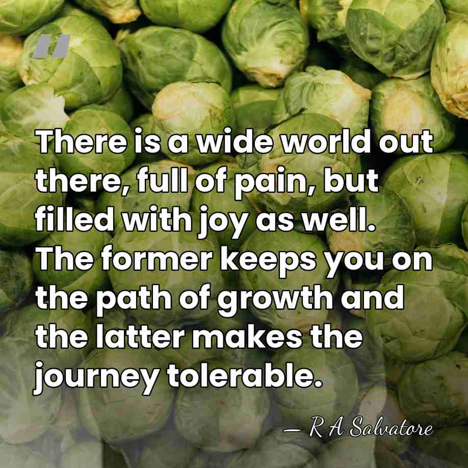 There is a wide world out there, full of pain, but filled&hellip; - R A Salvatore