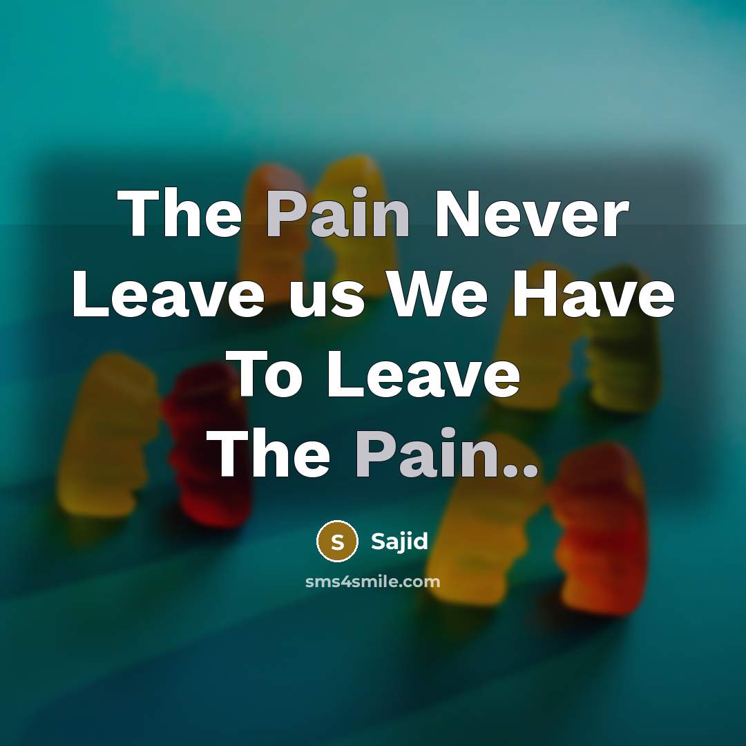 “The Pain Never Leave us We Have To Leave The…” quote by Sajid