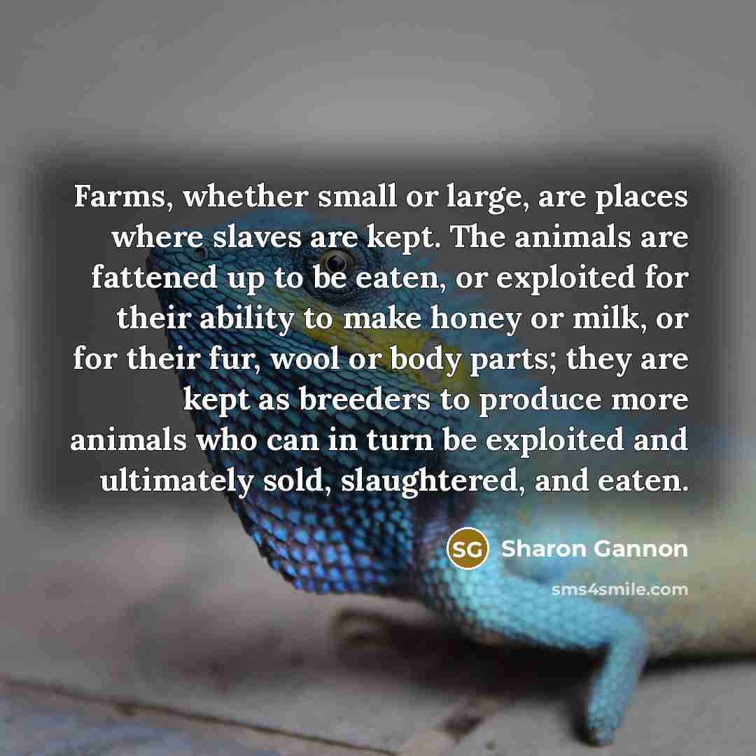 “Farms, whether small or large, are places where slaves are…” quote by Sharon Gannon