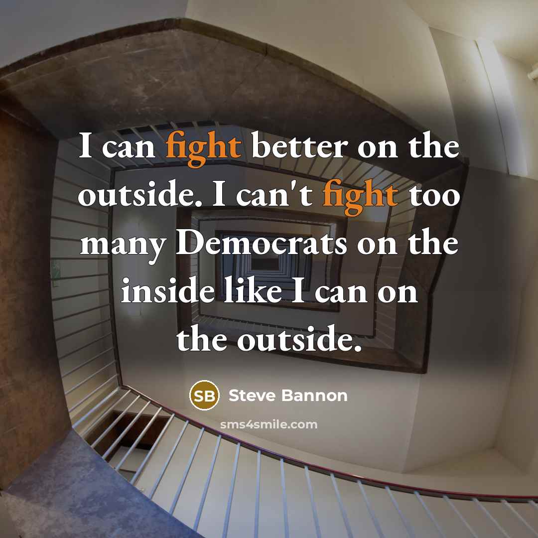 “I can fight better on the outside. I can't fight…” quote by Steve Bannon