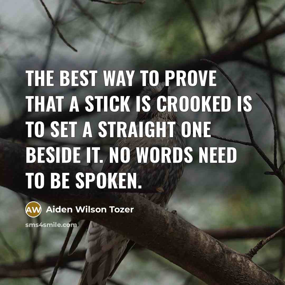 “The best way to prove that a stick is crooked…” quote by Aiden Wilson Tozer