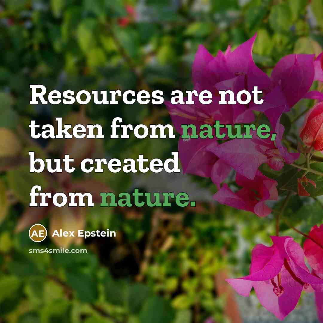 “Resources are not taken from nature, but created from nature.…” quote by Alex Epstein