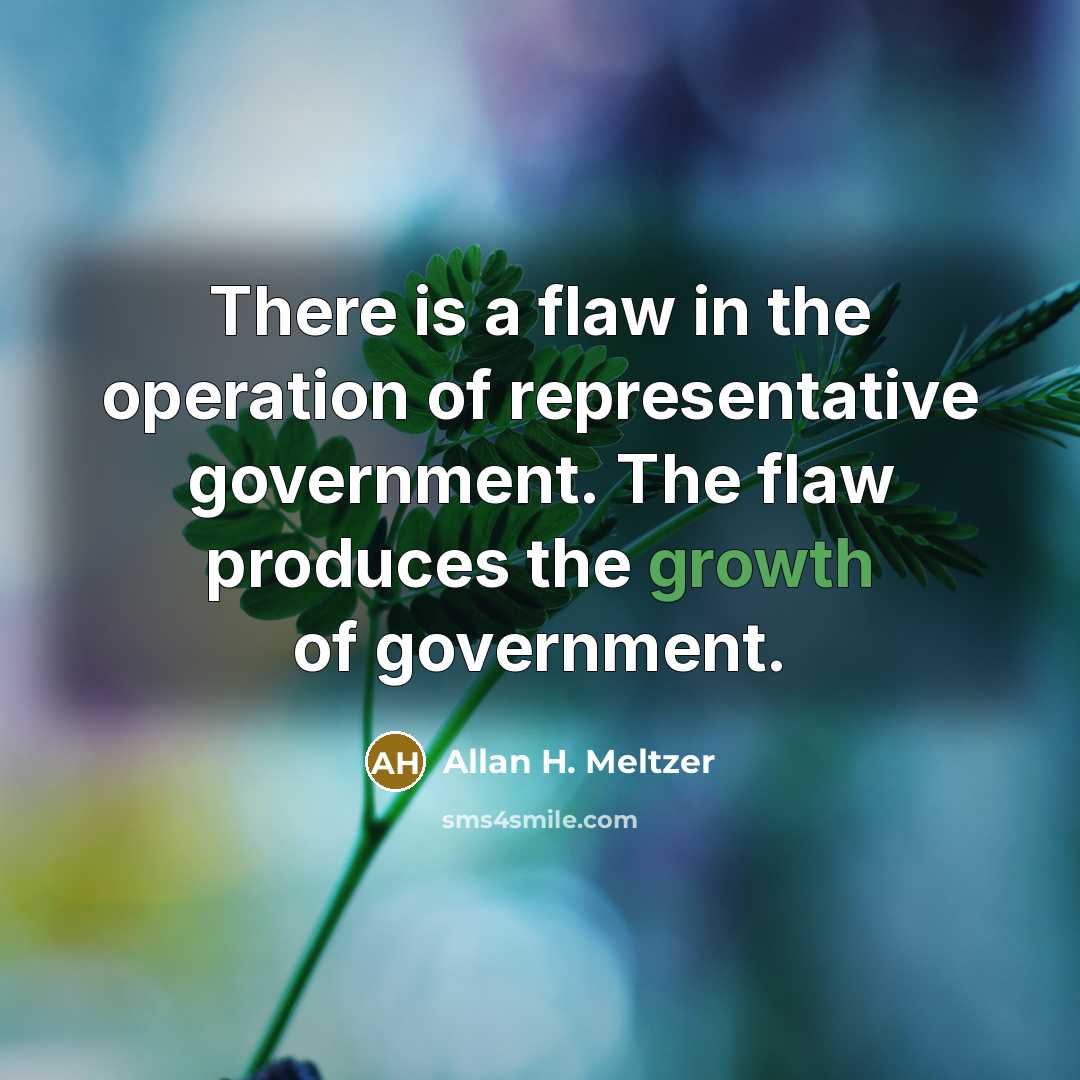 “There is a flaw in the operation of representative government.…” quote by Allan H. Meltzer