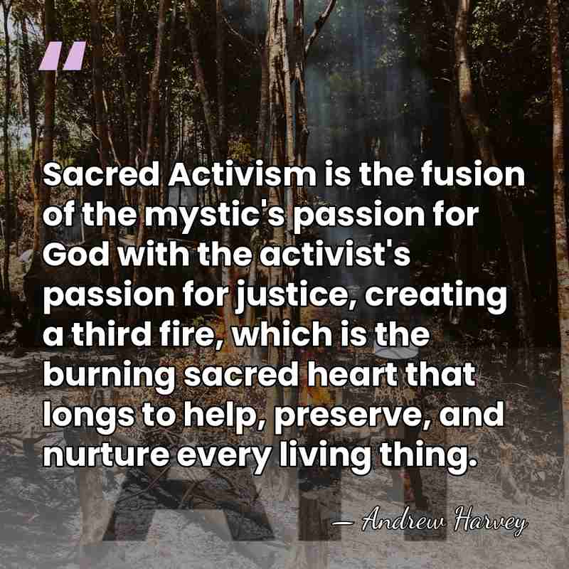 Sacred Activism is the fusion of the mystic's passion for God with&hellip; - Andrew Harvey