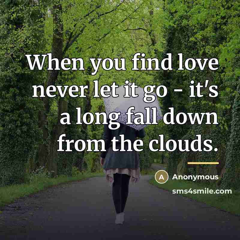 “When you find love never let it go - it's…” quote by Anonymous
