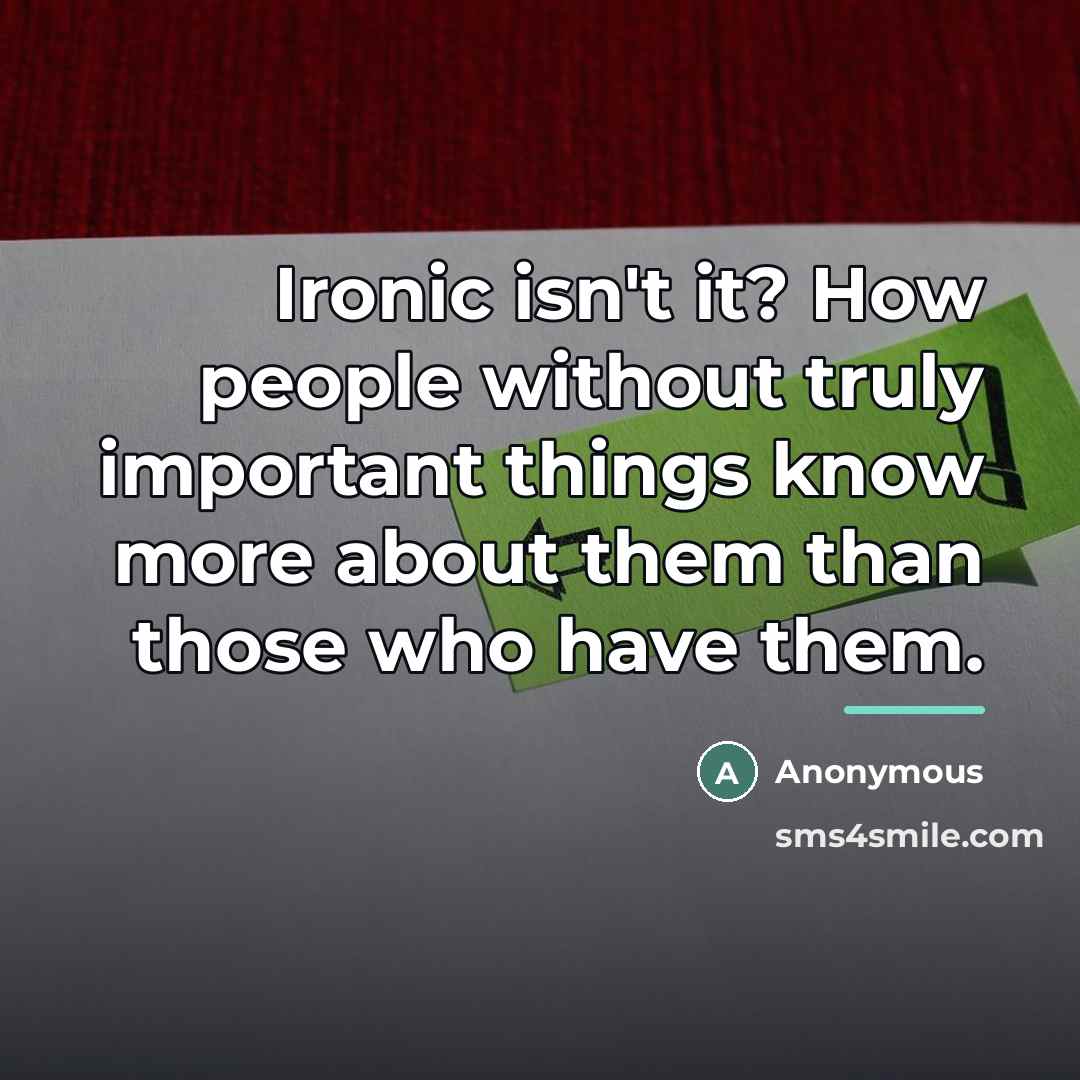“Ironic isn't it? How people without truly important things know…” quote by Anonymous