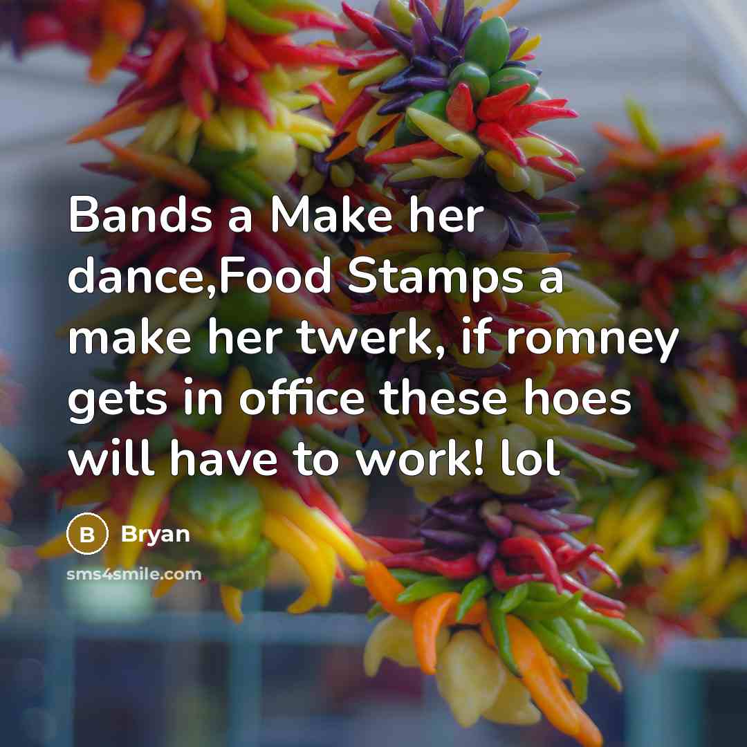 “Bands a Make her dance,Food Stamps a make her twerk,…” quote by Bryan