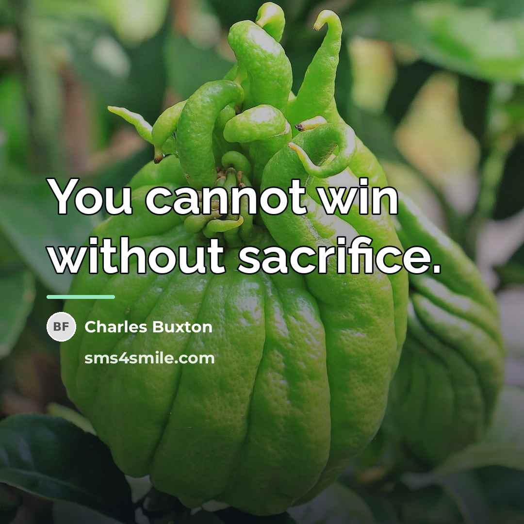 “You cannot win without sacrifice.…” quote by Charles Buxton