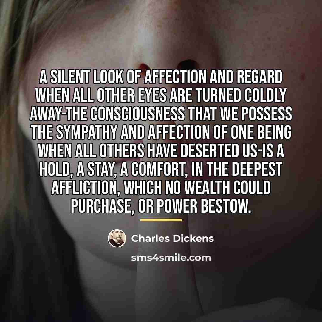 “A silent look of affection and regard when all other…” quote by Charles Dickens