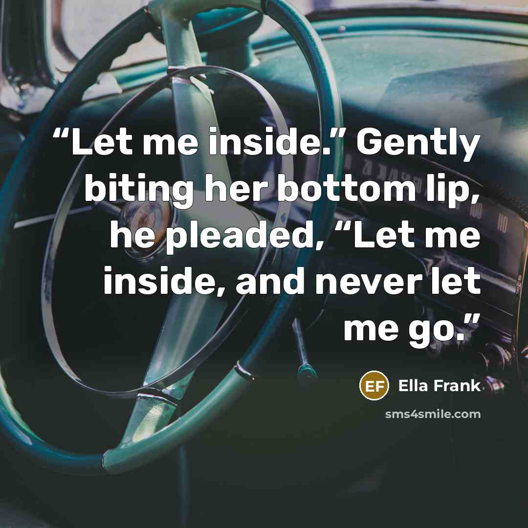 “Let me inside.” Gently biting her bottom lip, he pleaded, “Let me inside, and never let me go.” quote by Ella Frank