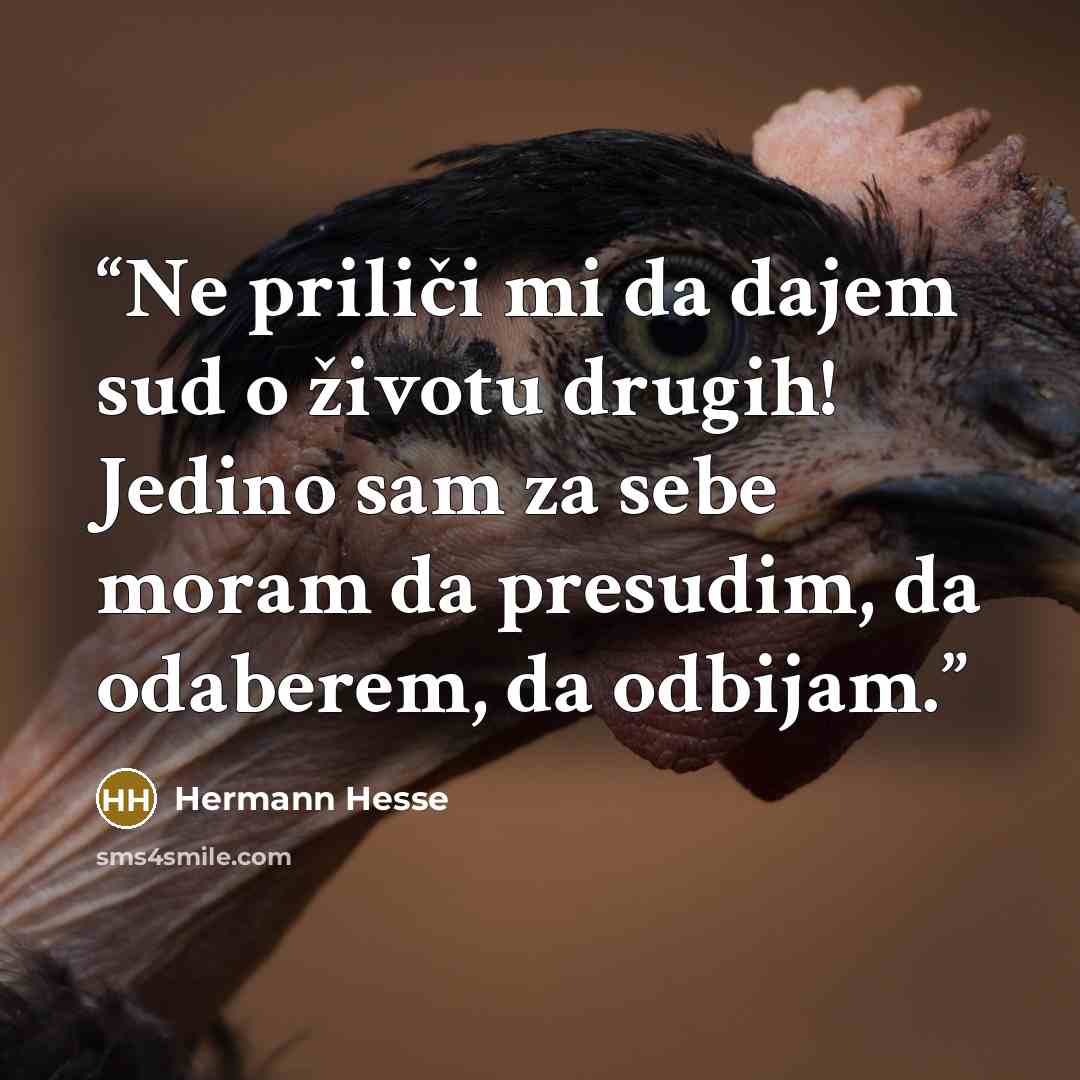 “Ne priliči mi da dajem sud o životu drugih! Jedino sam za sebe moram da presudim, da odaberem, da odbijam.” quote by Hermann Hesse