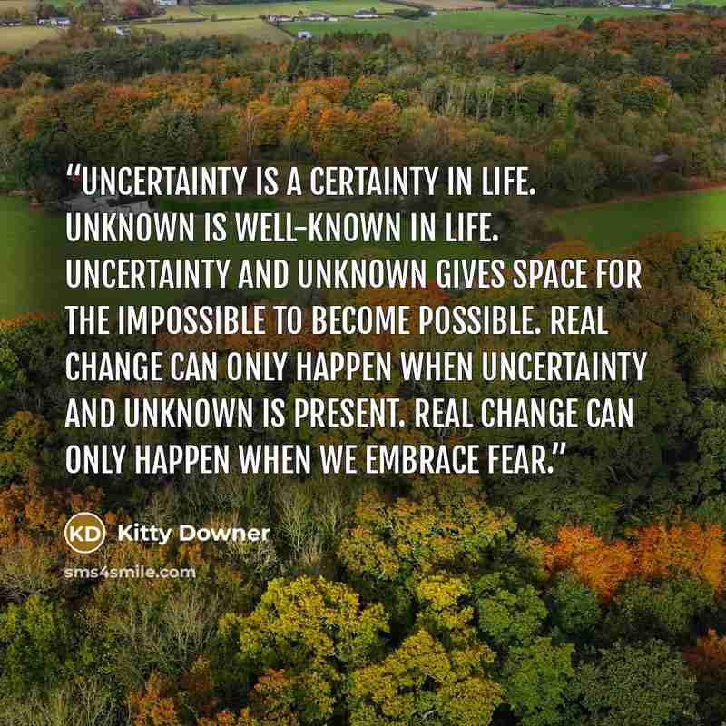 “Uncertainty is a certainty in life. Unknown is well-known in life. Uncertainty and unknown gives space for the impossible to become possible. Real change can only happen when uncertainty and unknown is present. Real change can only happen when we embrace fear.” quote by Kitty Downer