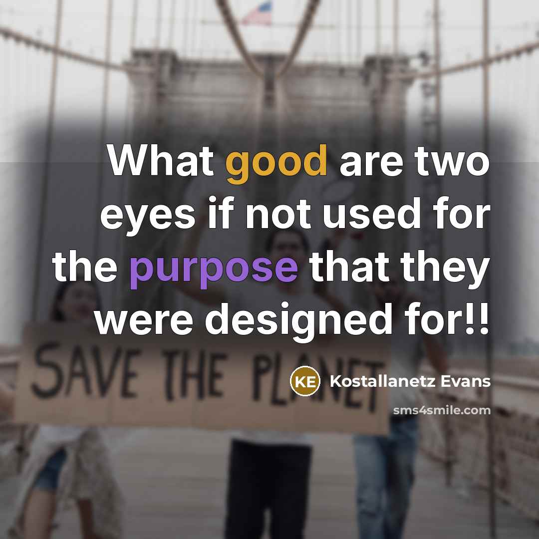“What good are two eyes if not used for the…” quote by Kostallanetz Evans