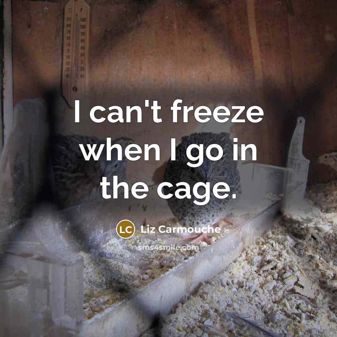 “I can't freeze when I go in the cage.…” quote by Liz Carmouche
