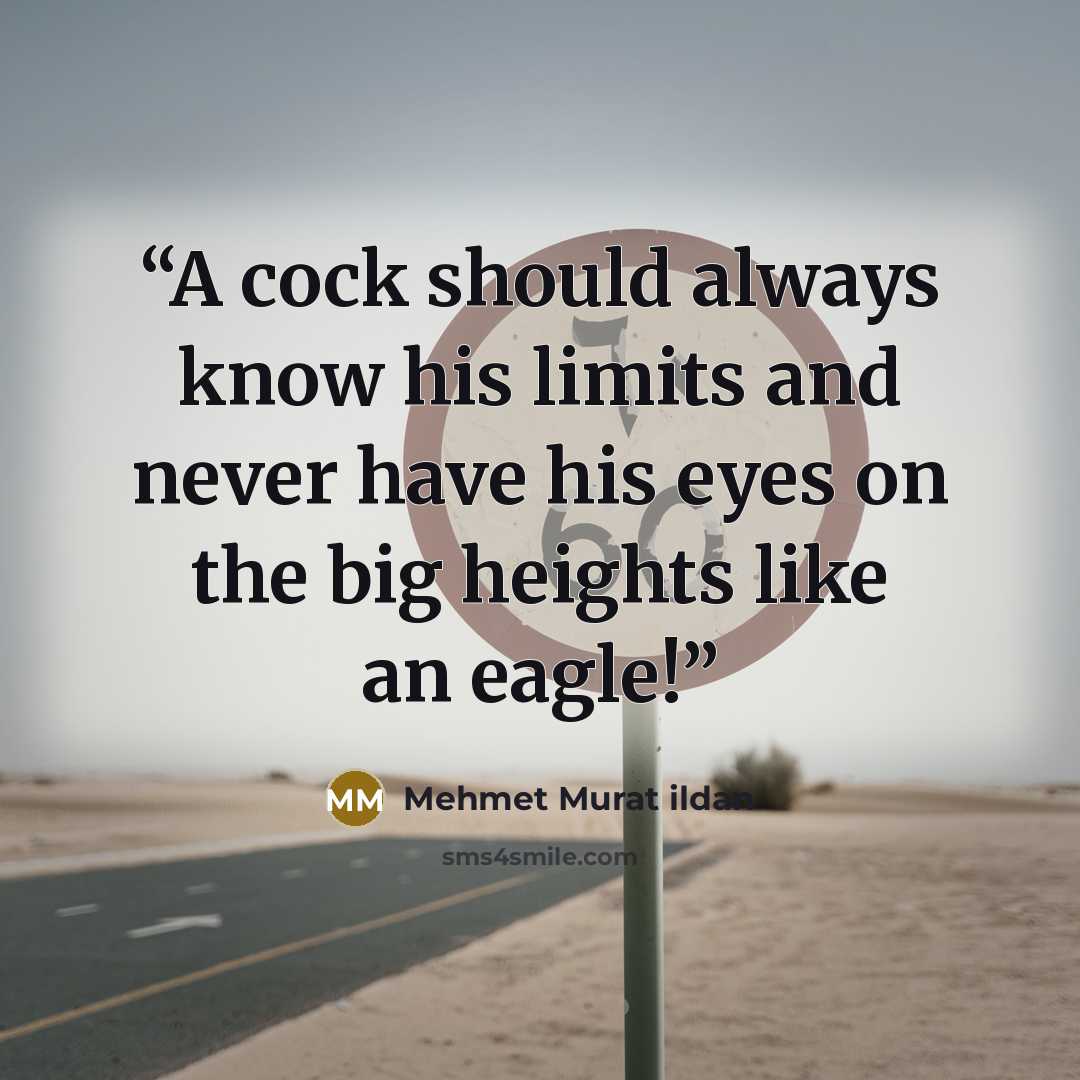 “A cock should always know his limits and never have his eyes on the big heights like an eagle!” quote by Mehmet Murat ildan