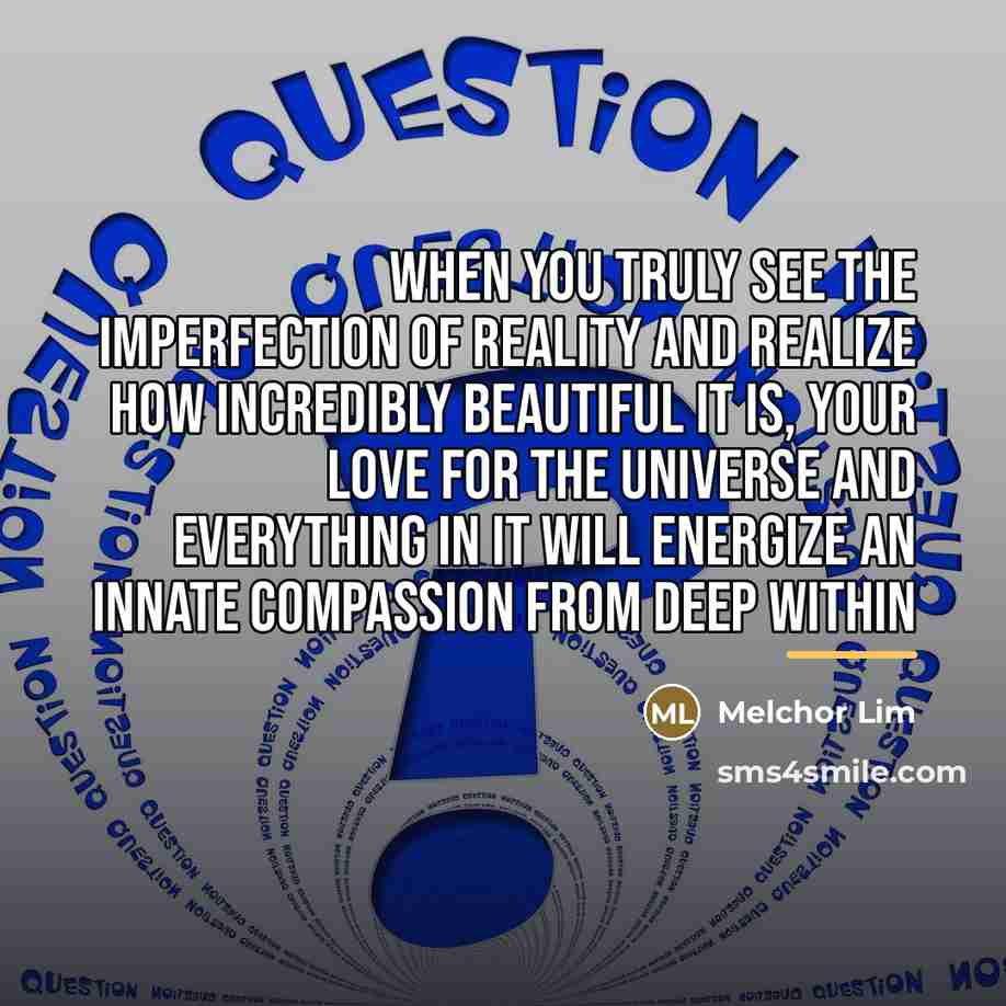 “When you truly see the imperfection of reality and realize…” quote by Melchor Lim