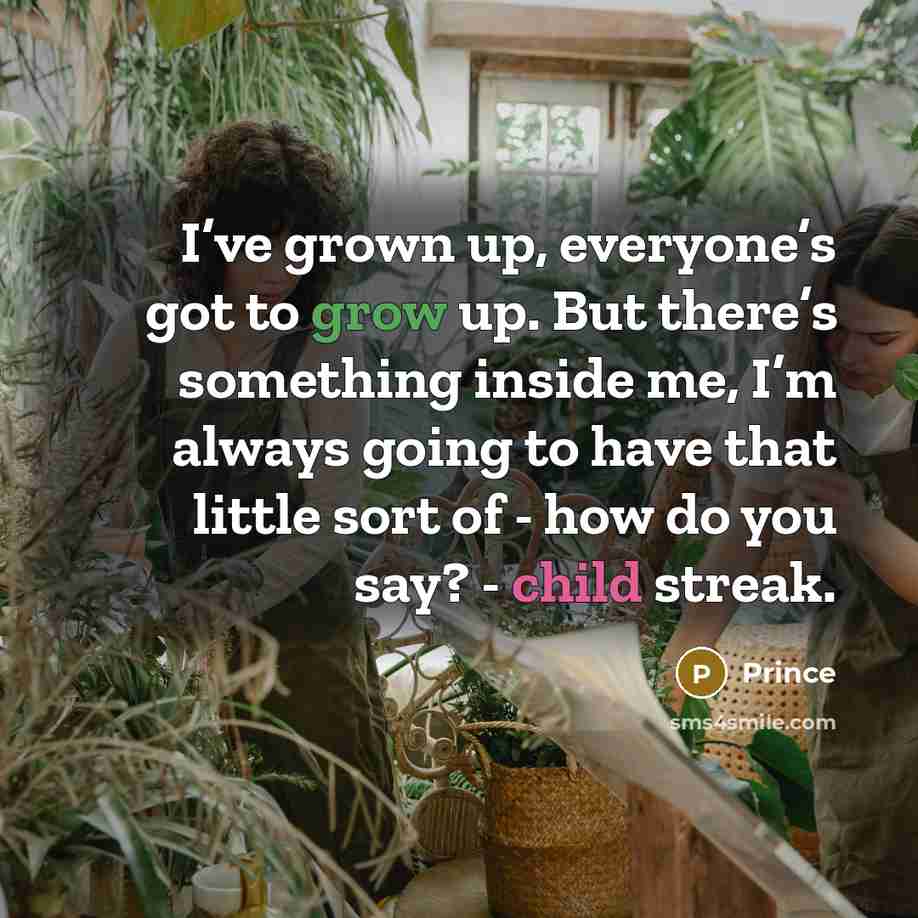“I’ve grown up, everyone’s got to grow up. But there’s…” quote by Prince