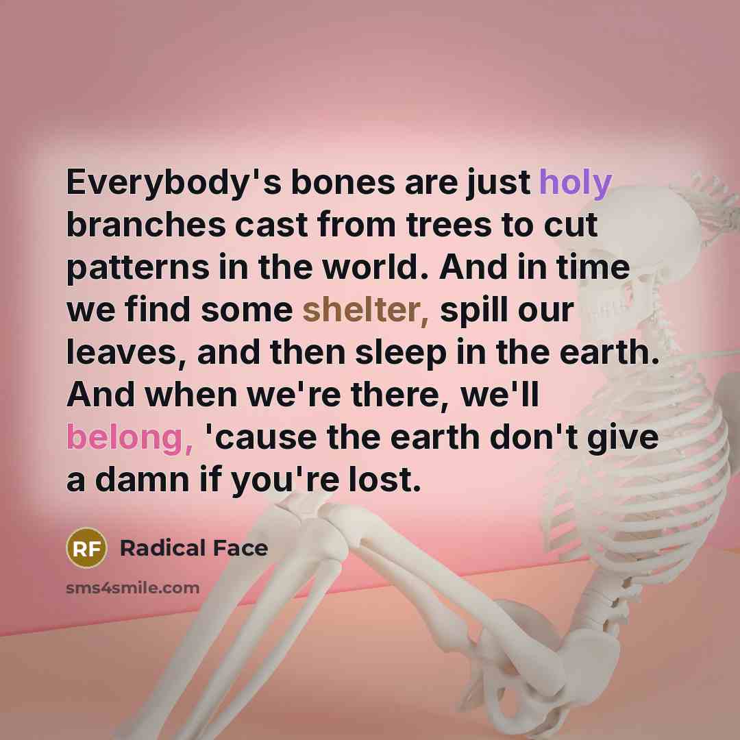 “Everybody's bones are just holy branches cast from trees to…” quote by Radical Face