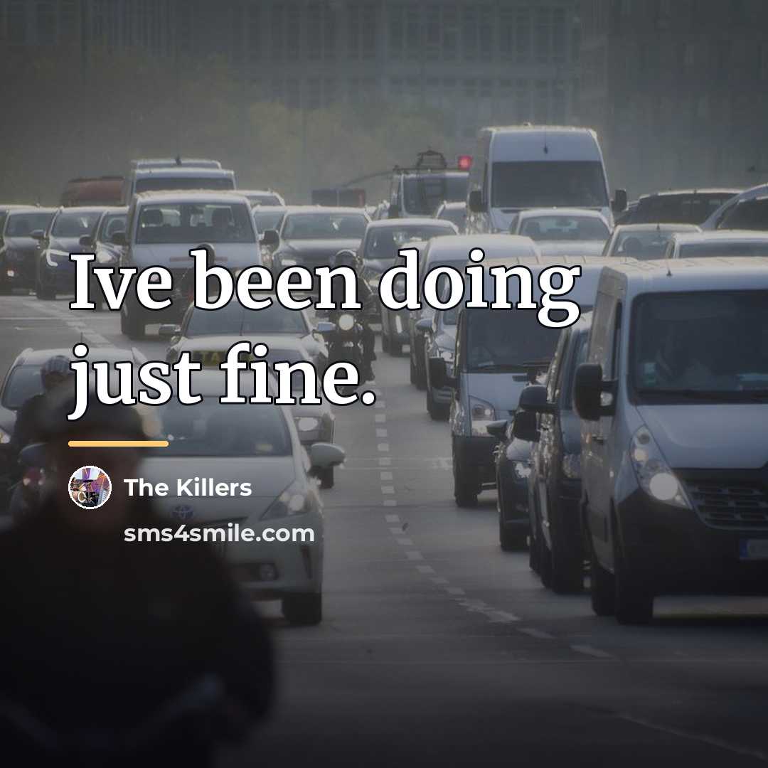“Ive been doing just fine.…” quote by The Killers