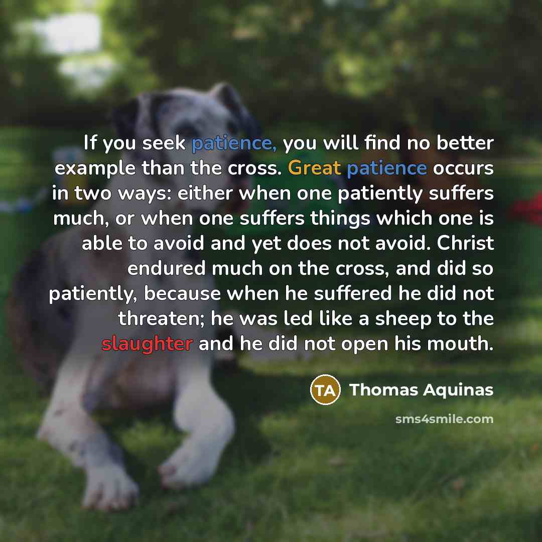 “If you seek patience, you will find no better example…” quote by Thomas Aquinas