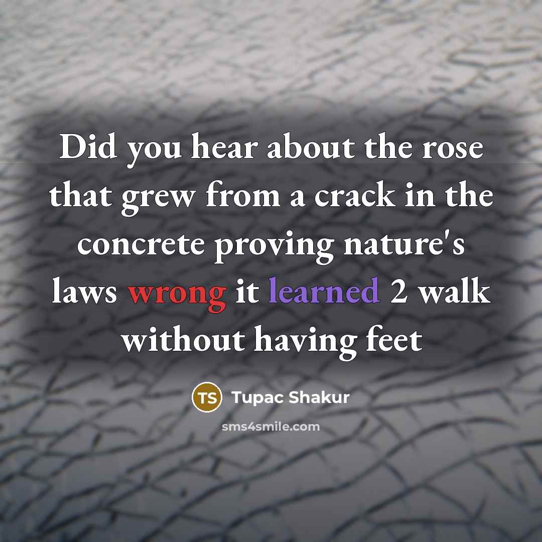 “Did you hear about the rose that grew from a…” quote by Tupac Shakur