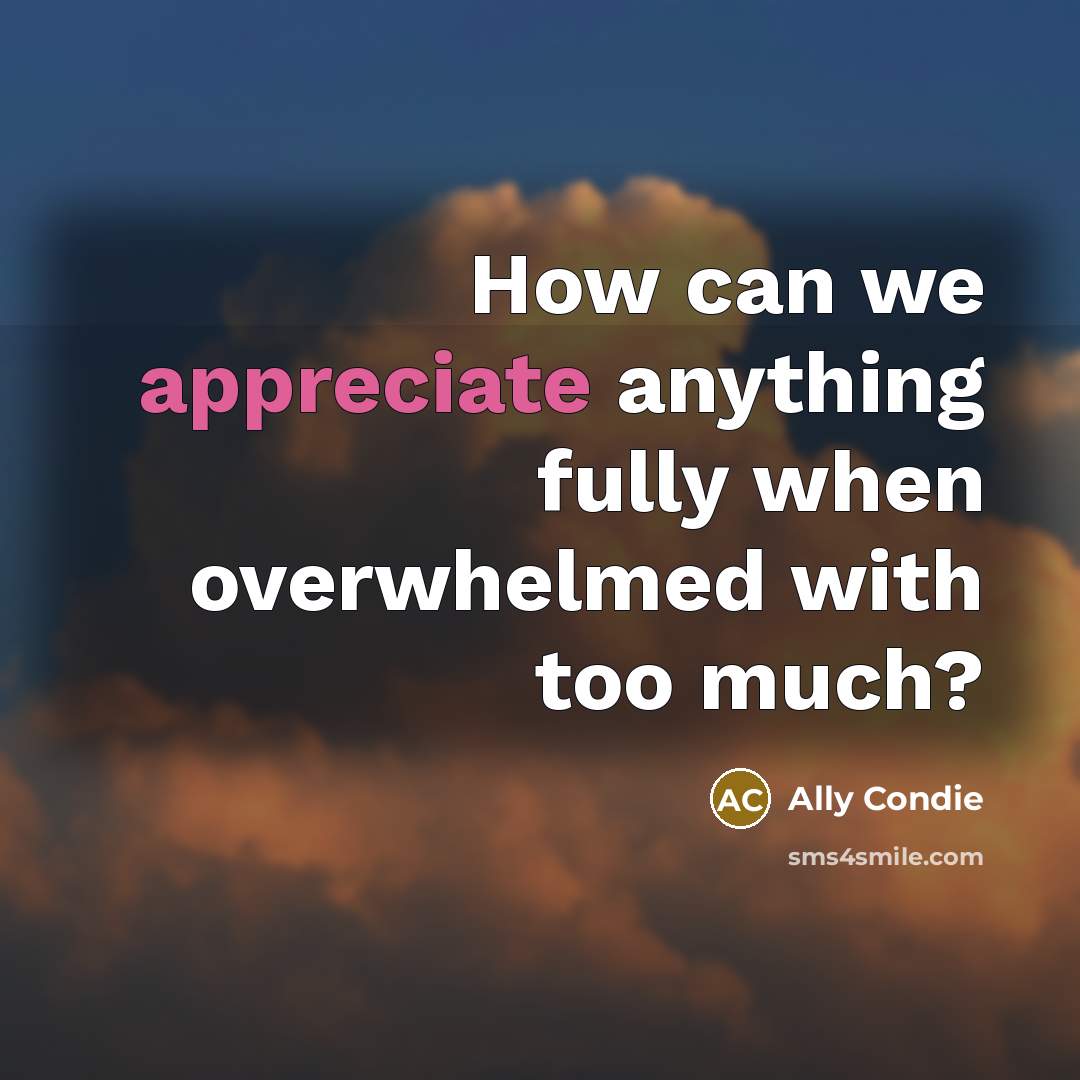 “How can we appreciate anything fully when overwhelmed with too…” quote by Ally Condie