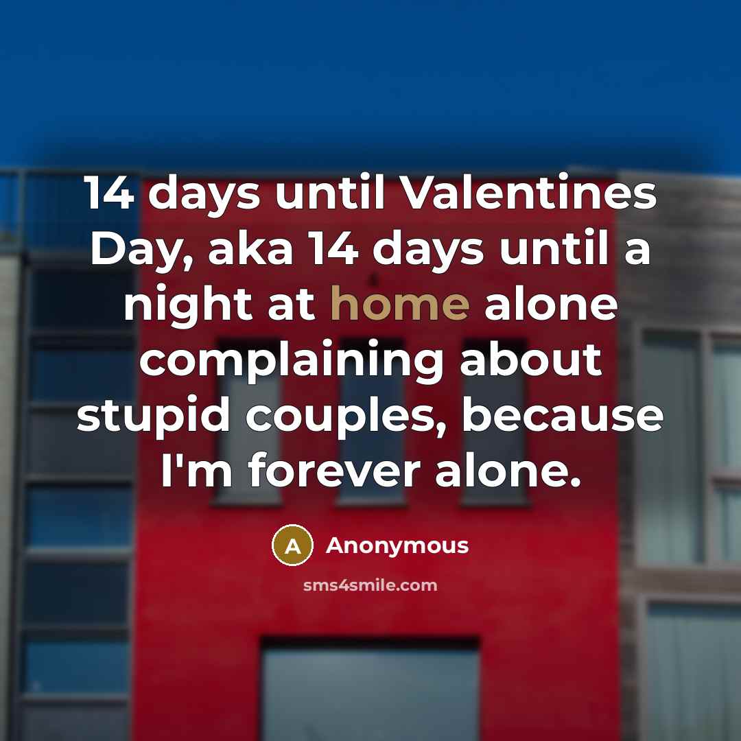 “14 days until Valentines Day, aka 14 days until a night at home alone complaining about stupid couples, because I'm forever alone.” quote by Anonymous