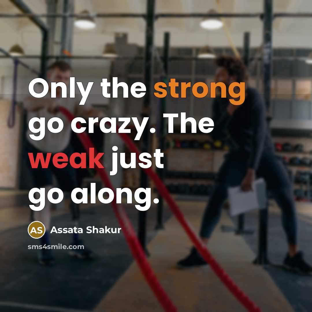 “Only the strong go crazy. The weak just go along.…” quote by Assata Shakur