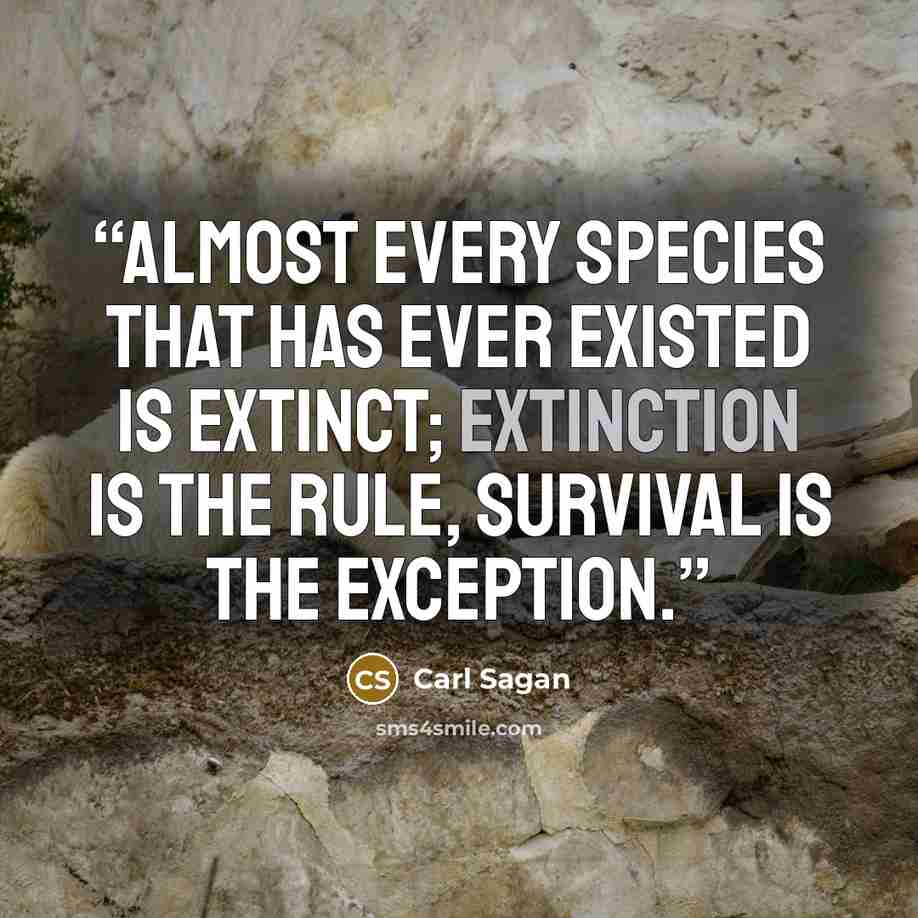 “almost every species that has ever existed is extinct; extinction is the rule, survival is the exception.” quote by Carl Sagan