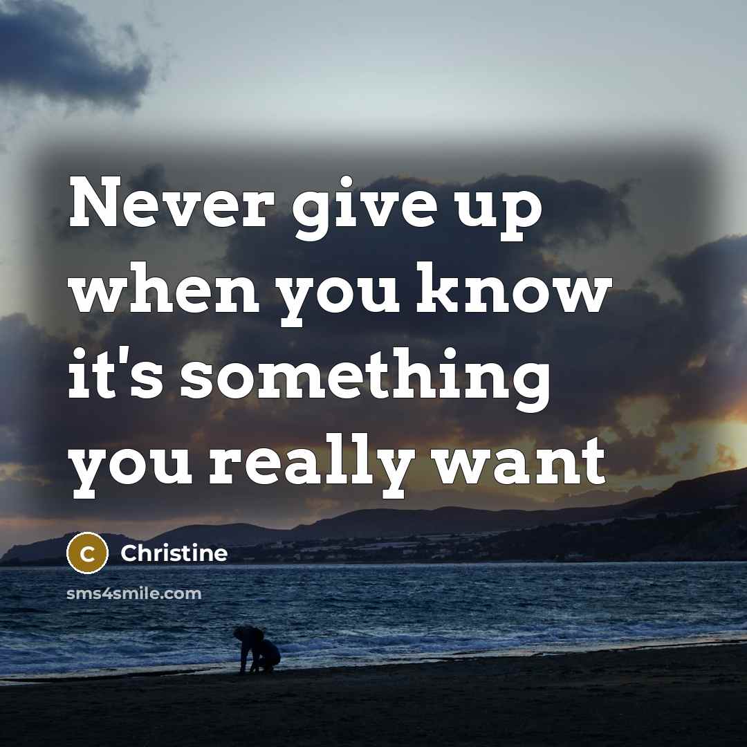 “Never give up when you know it's something you really…” quote by Christine