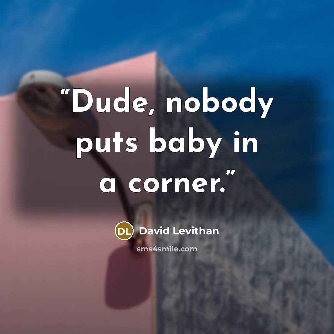 “Dude, nobody puts baby in a corner.” quote by David Levithan