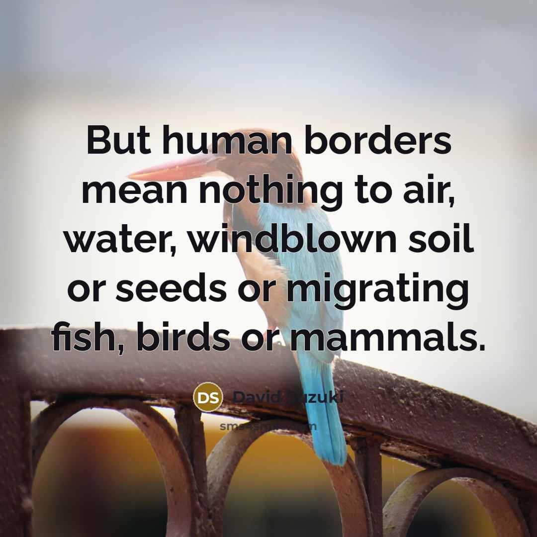 “But human borders mean nothing to air, water, windblown soil…” quote by David Suzuki