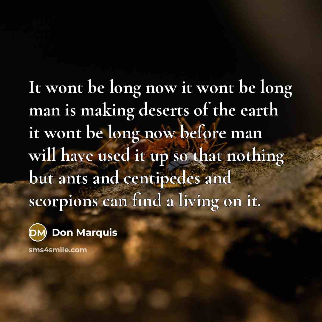 “It wont be long now it wont be long man…” quote by Don Marquis