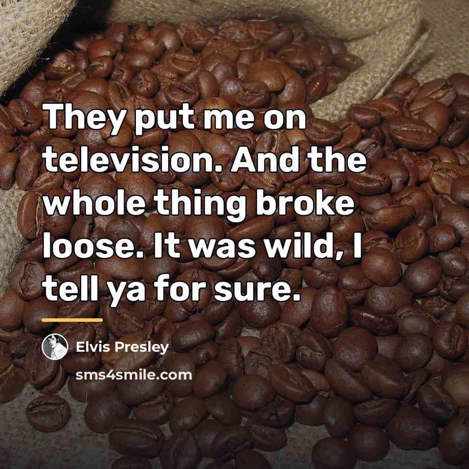 “They put me on television. And the whole thing broke…” quote by Elvis Presley