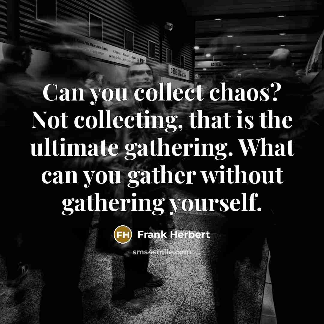 “Can you collect chaos? Not collecting, that is the ultimate…” quote by Frank Herbert