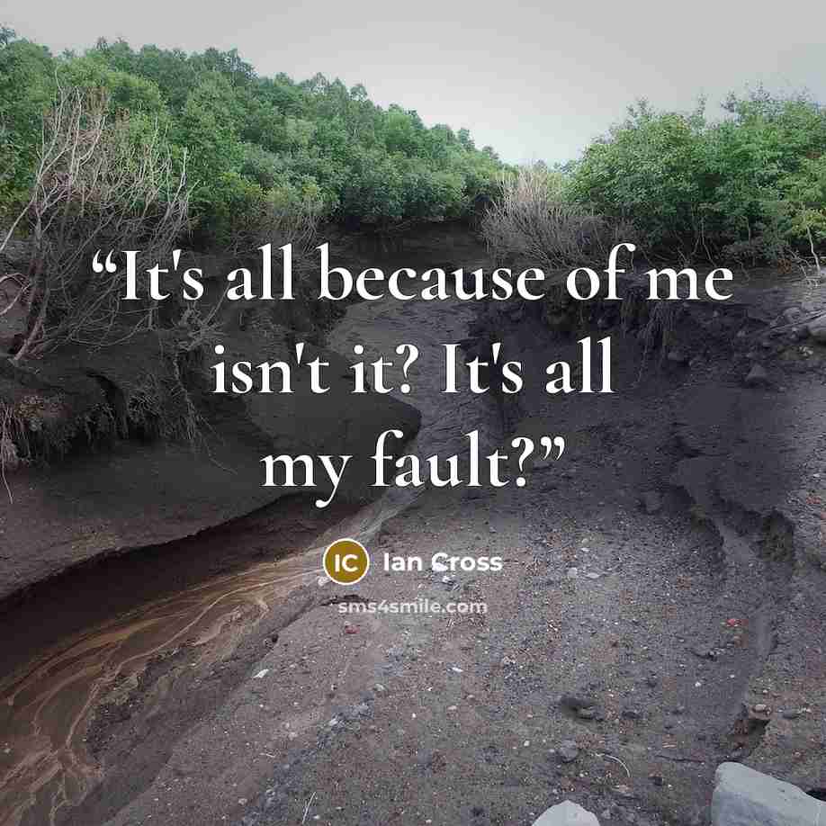 “It's all because of me isn't it? It's all my fault?” quote by Ian Cross