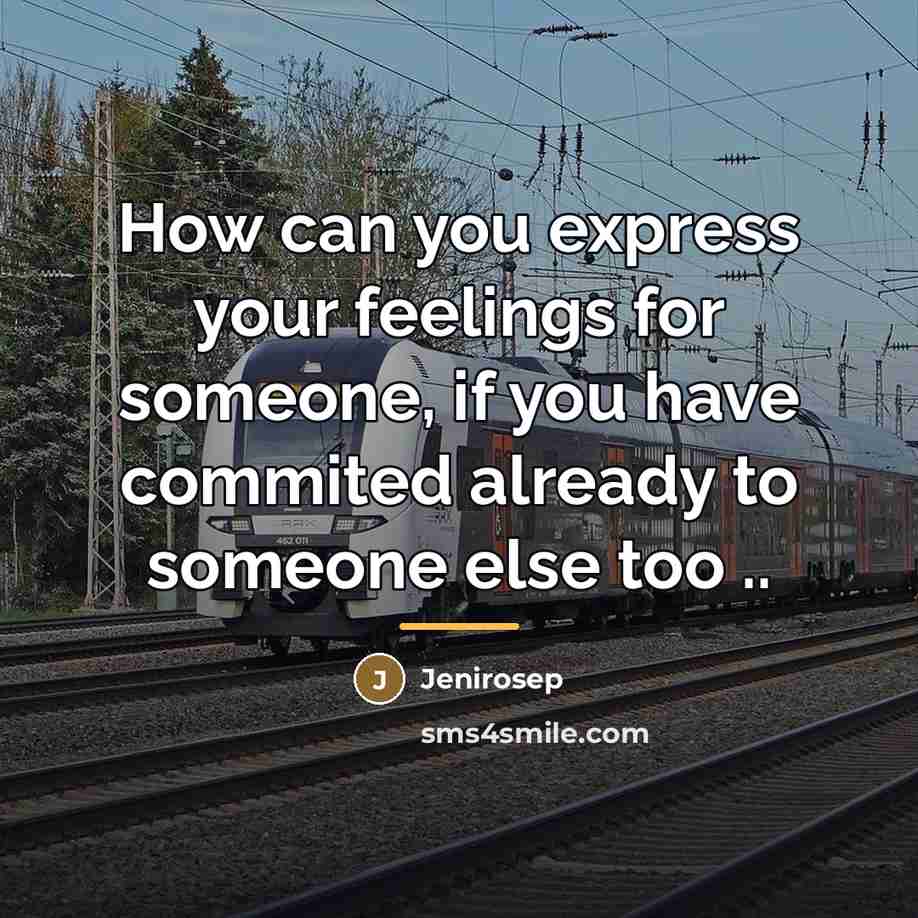 “How can you express your feelings for someone, if you…” quote by Jenirosep